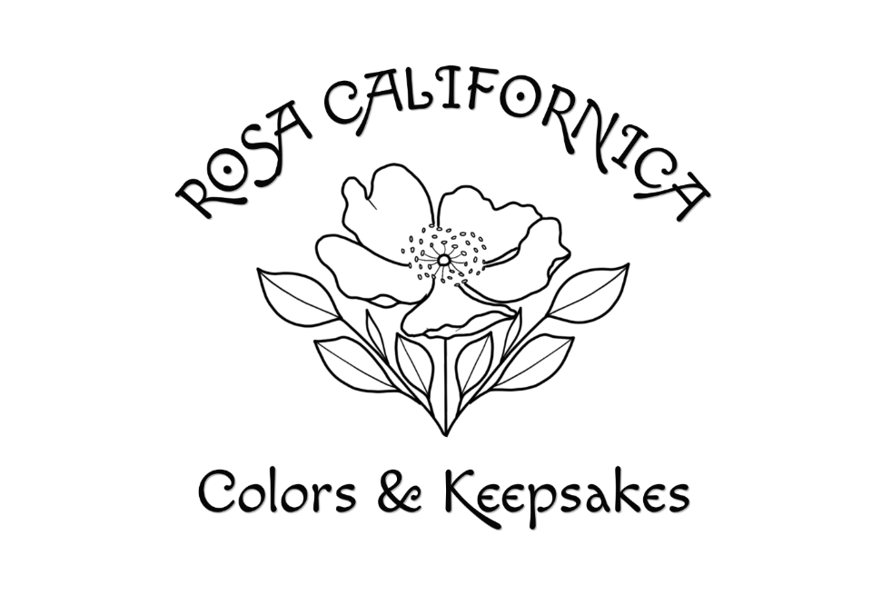 Rosa Californica Colors & Keepsakes